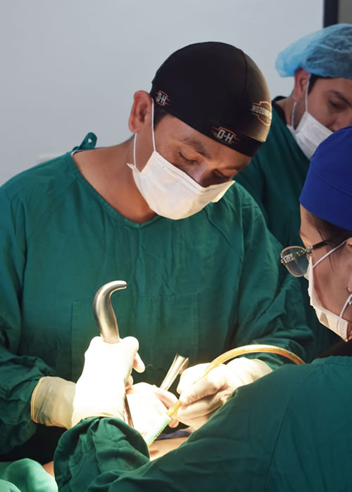 Asesoría para lipoescultura, rinoplastia, globalesthetic CIRUJANO PLASTICO